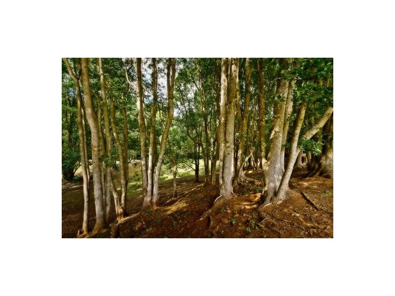 73 Braford Dr, Bonville NSW 2441