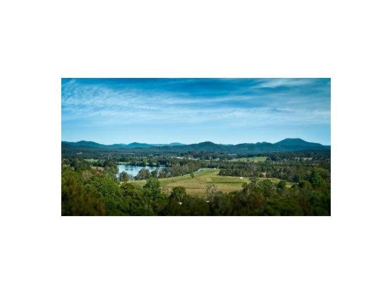 41 Perrys Rd, Repton NSW 2454
