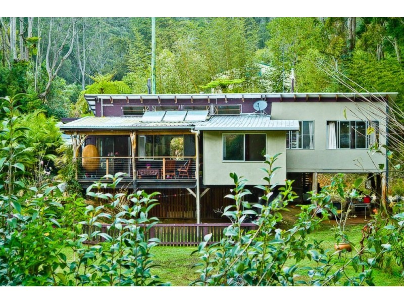 646 Kalang Rd, Bellingen NSW 2454