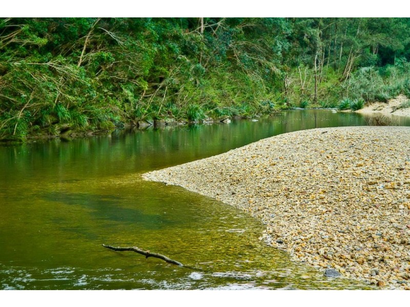 646 Kalang Rd, Bellingen NSW 2454