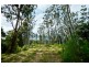 646 Kalang Rd, Bellingen NSW 2454