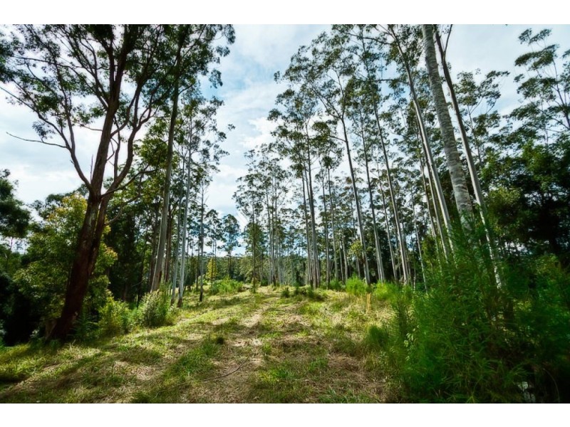 646 Kalang Rd, Bellingen NSW 2454