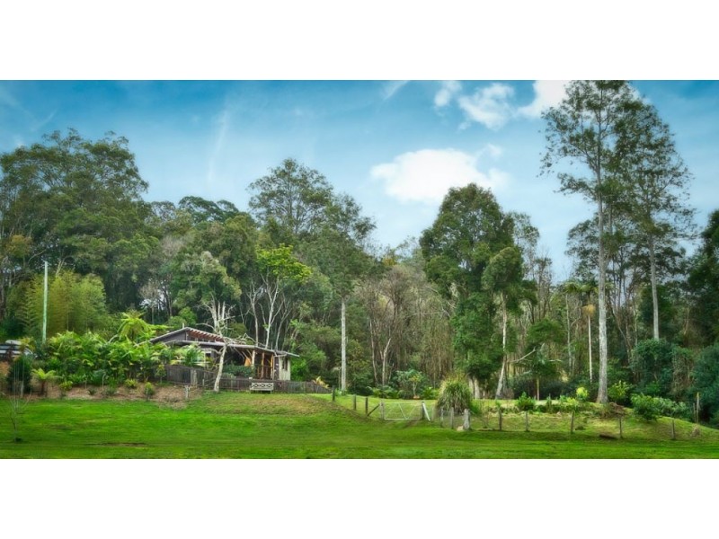 646 Kalang Rd, Bellingen NSW 2454
