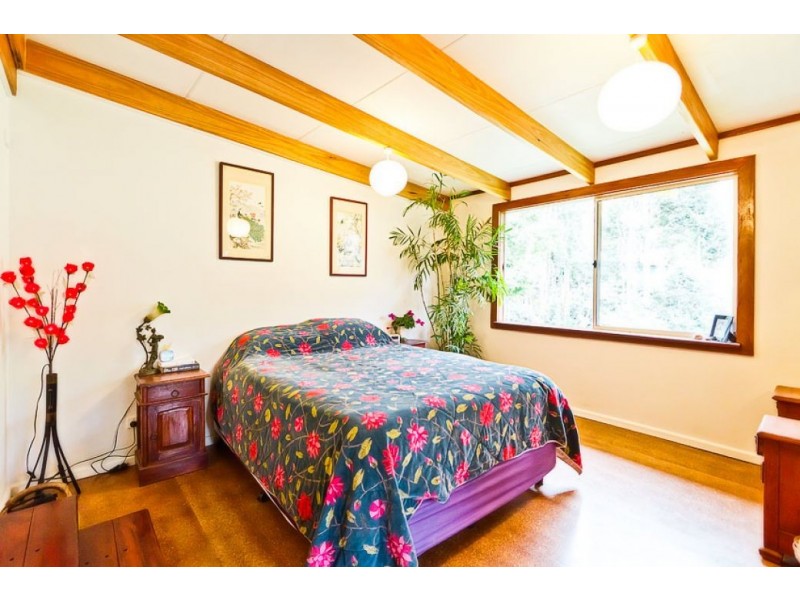 646 Kalang Rd, Bellingen NSW 2454