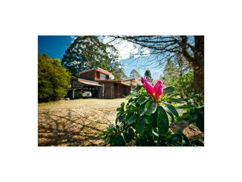 234 Beaumonts Road, Deer Vale NSW 2453