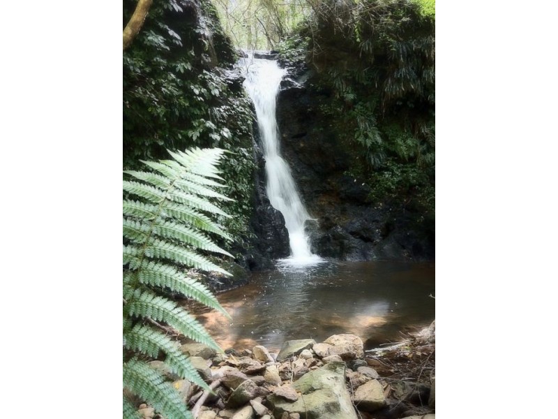 234 Beaumonts Road, Deer Vale NSW 2453