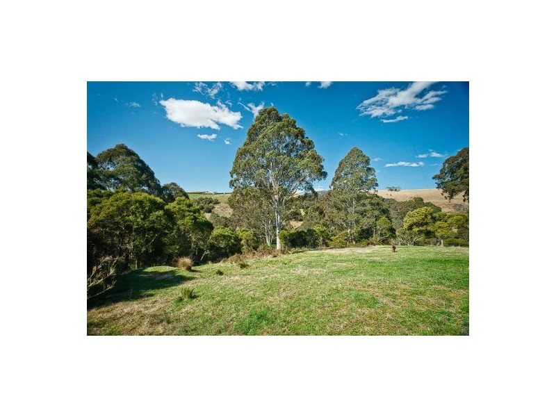 234 Beaumonts Road, Deer Vale NSW 2453