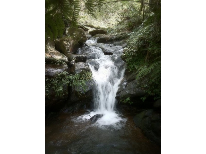 234 Beaumonts Road, Deer Vale NSW 2453