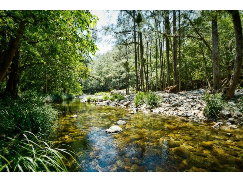 816 Summervilles Road, THORA, Bellingen NSW 2454