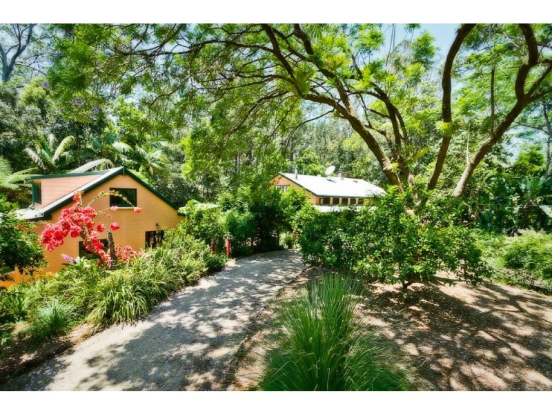 816 Summervilles Road, THORA, Bellingen NSW 2454