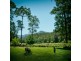 816 Summervilles Road, THORA, Bellingen NSW 2454