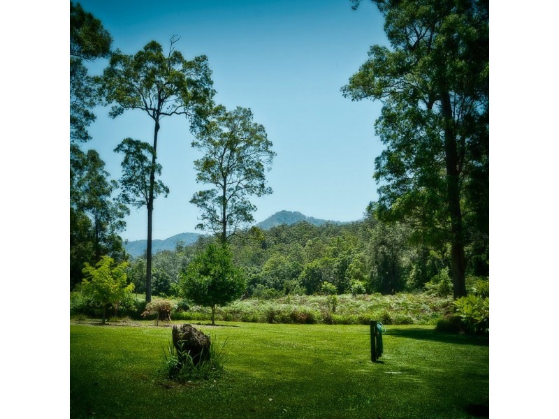 816 Summervilles Road, THORA, Bellingen NSW 2454
