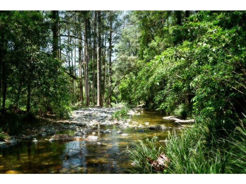 816 Summervilles Road, THORA, Bellingen NSW 2454