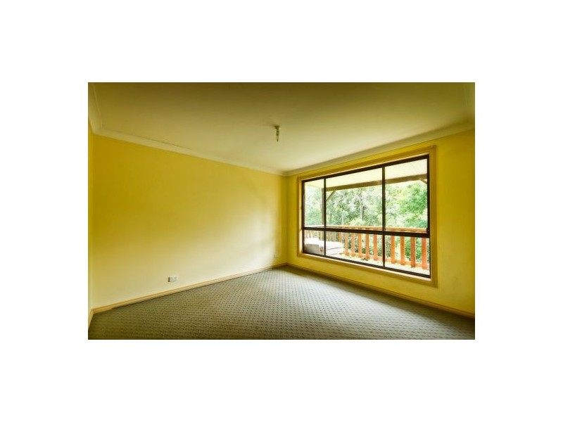 102 Plantation Road, Bellingen NSW 2454