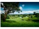 11 John Glyde Road, Bellingen NSW 2454