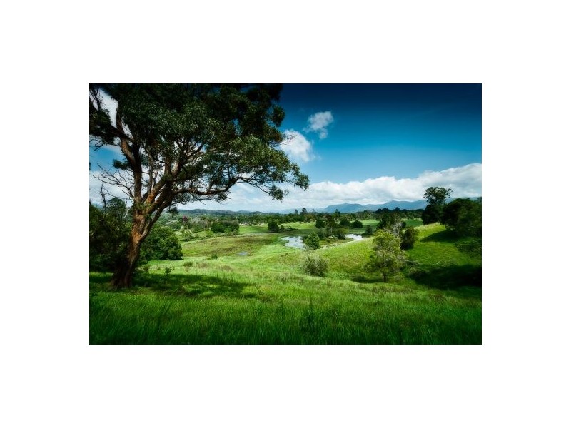 11 John Glyde Road, Bellingen NSW 2454