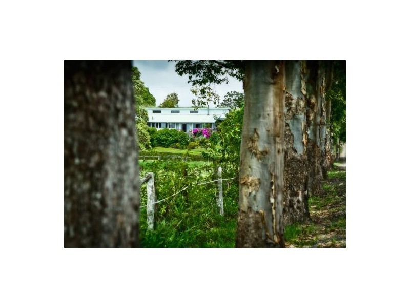 11 John Glyde Road, Bellingen NSW 2454