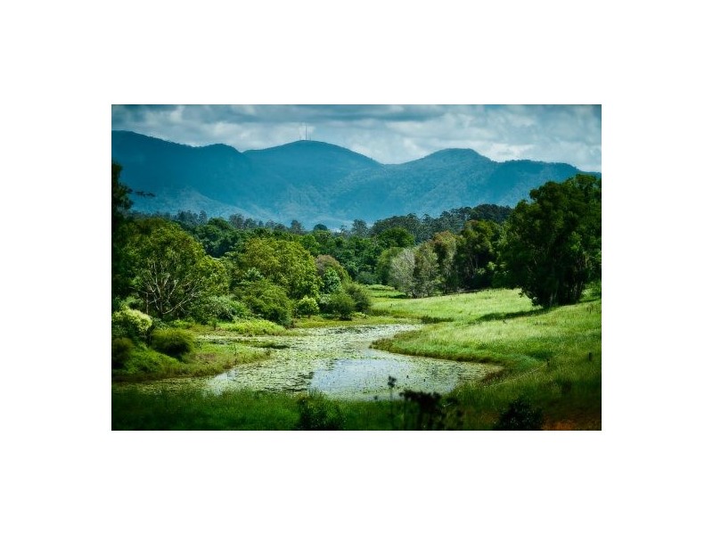 11 John Glyde Road, Bellingen NSW 2454