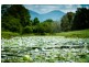 11 John Glyde Road, Bellingen NSW 2454