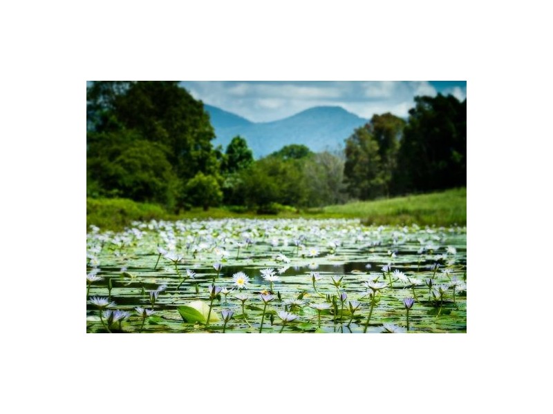 11 John Glyde Road, Bellingen NSW 2454