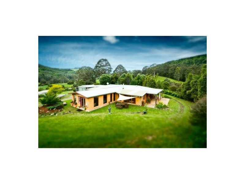 413 Johnsens Road, Fernbrook, Dorrigo NSW 2453