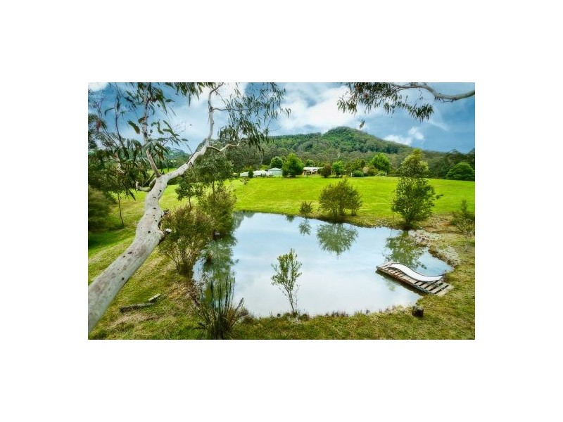 413 Johnsens Road, Fernbrook, Dorrigo NSW 2453