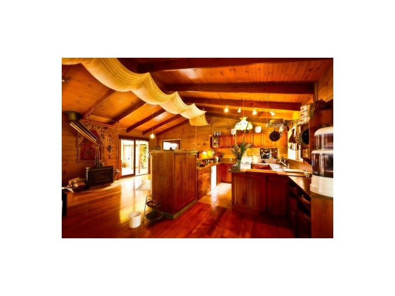 413 Johnsens Road, Fernbrook, Dorrigo NSW 2453