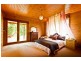 413 Johnsens Road, Fernbrook, Dorrigo NSW 2453