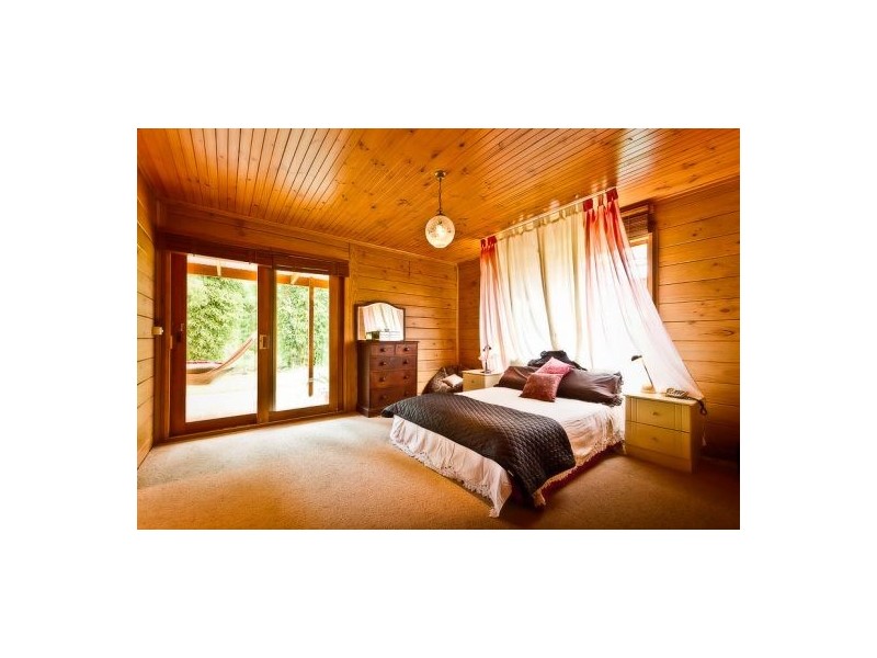 413 Johnsens Road, Fernbrook, Dorrigo NSW 2453