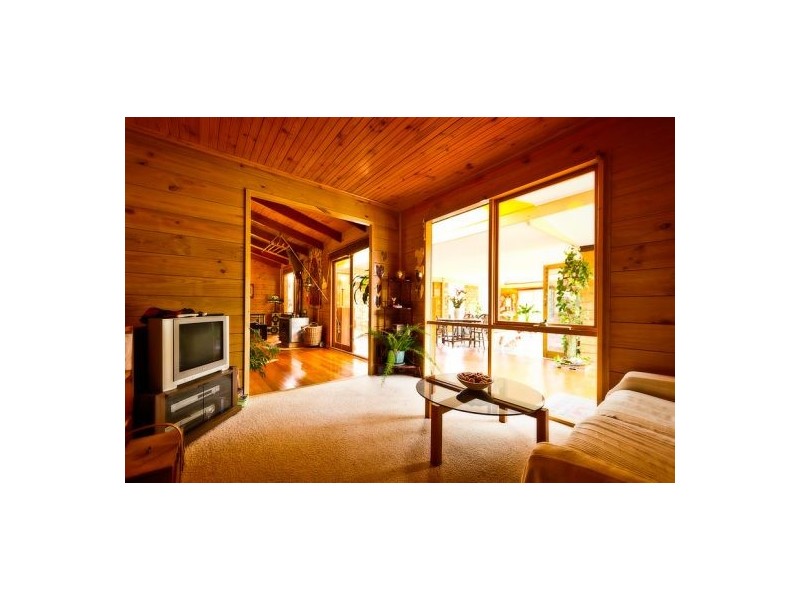 413 Johnsens Road, Fernbrook, Dorrigo NSW 2453