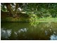 413 Johnsens Road, Fernbrook, Dorrigo NSW 2453