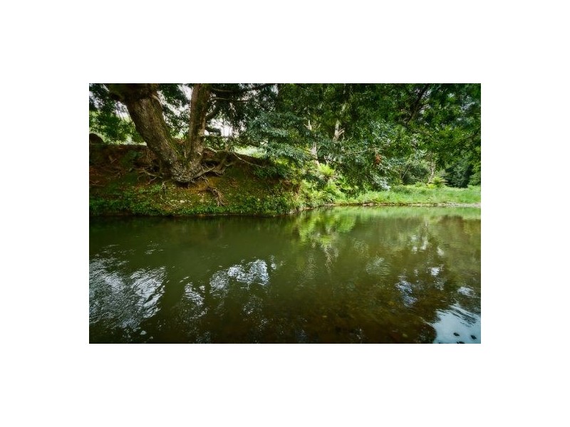 413 Johnsens Road, Fernbrook, Dorrigo NSW 2453