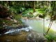 413 Johnsens Road, Fernbrook, Dorrigo NSW 2453