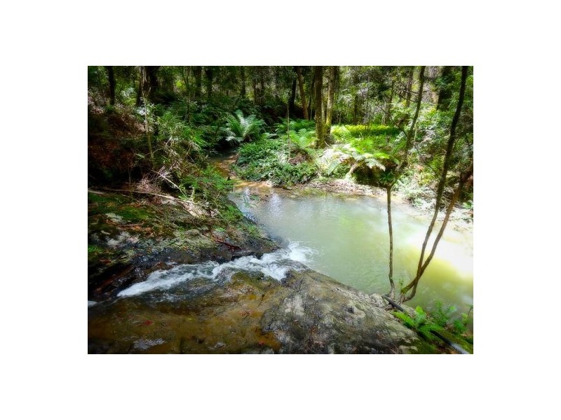 413 Johnsens Road, Fernbrook, Dorrigo NSW 2453