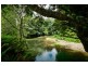 413 Johnsens Road, Fernbrook, Dorrigo NSW 2453