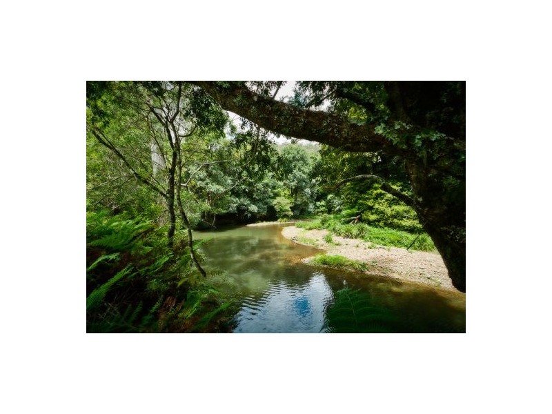 413 Johnsens Road, Fernbrook, Dorrigo NSW 2453