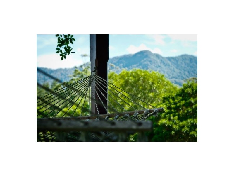 153 Darkwood Road, Thora NSW 2454