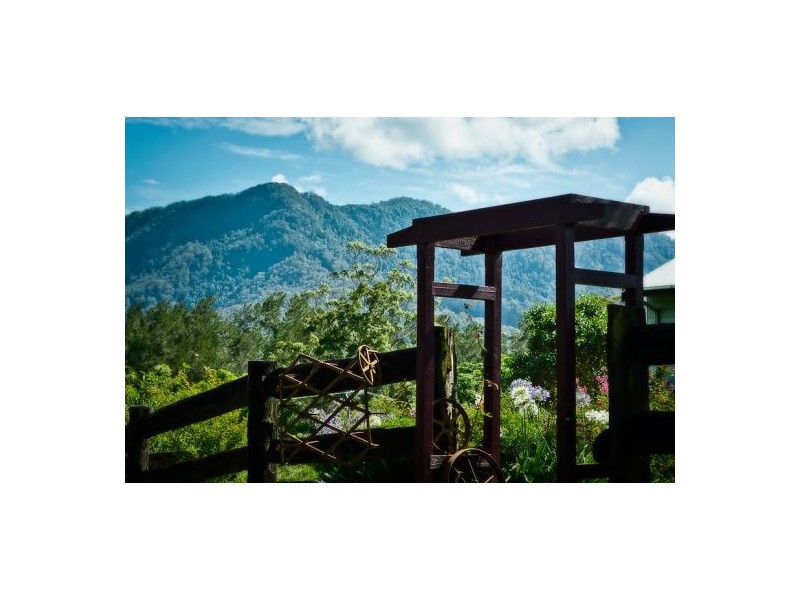 153 Darkwood Road, Thora NSW 2454