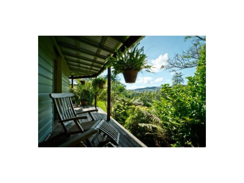 153 Darkwood Road, Thora NSW 2454