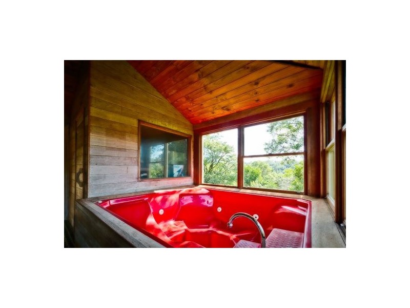 153 Darkwood Road, Thora NSW 2454