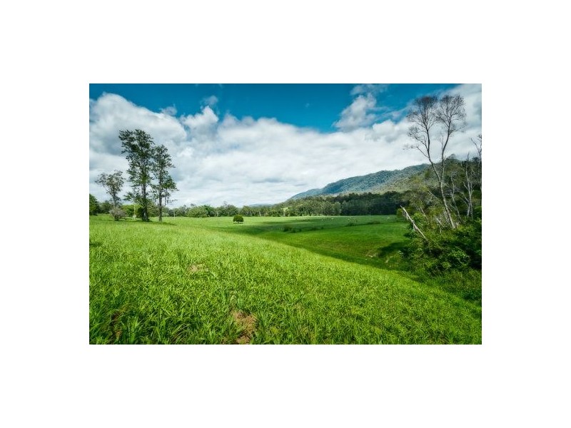 153 Darkwood Road, Thora NSW 2454