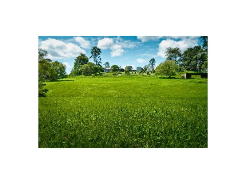 153 Darkwood Road, Thora NSW 2454