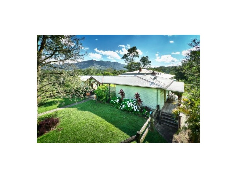 153 Darkwood Road, Thora NSW 2454