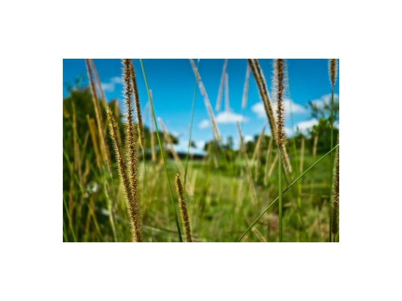 1 John Glyde Road, Bellingen NSW 2454