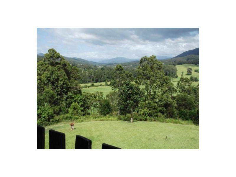 2727 Waterfall Way, Thora,, Bellingen NSW 2454
