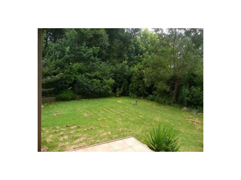 6-8  Cypress Street, Dorrigo NSW 2453