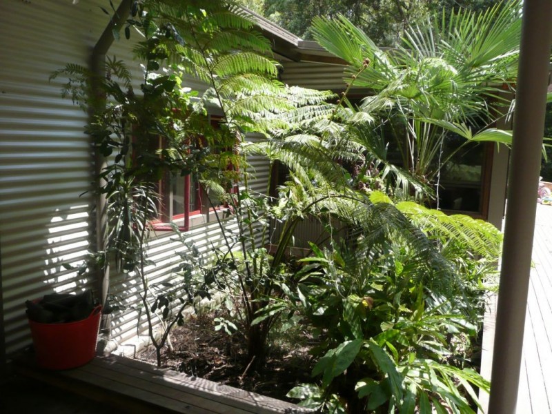 90 Forest Drive, Repton NSW 2454