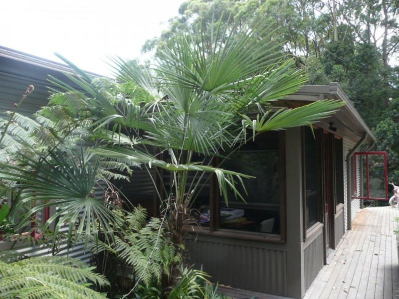 90 Forest Drive, Repton NSW 2454