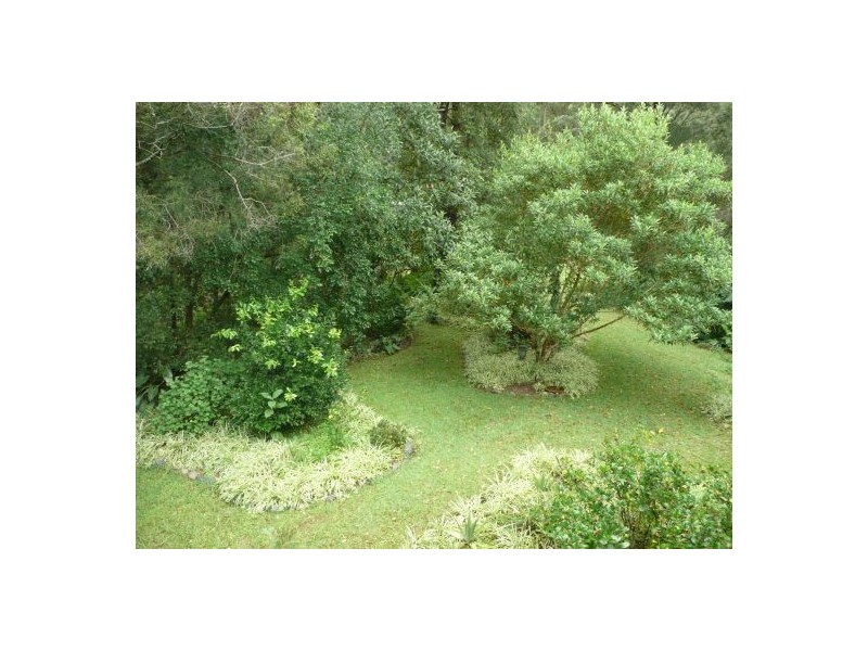 2481 Waterfall Way, Bellingen NSW 2454