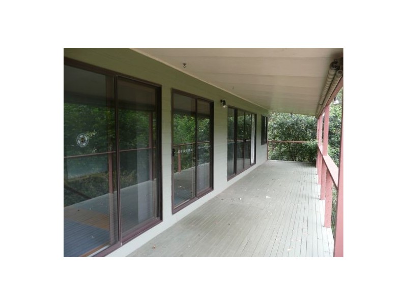 2481 Waterfall Way, Bellingen NSW 2454
